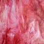 Youghiogheny White, Dense White, Gold Pink And Bubblegum Stipple