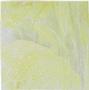 Youghiogheny Autumn Gold And Yellow Gold Granite Ripple Stipple