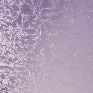 Wissmach Mauve Glue Chip