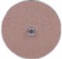 5 Polishing Disc
