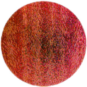 Cyan / Dark Dark Red on Clear Herringbone Ripple - 90 COE