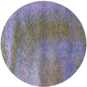 Dichroic Green / Magenta Blue on Clear Herringbone Ripple - Full Sheet, CBS Full Sheet on Herringbone Ripple