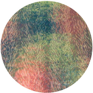 Dichroic Salmon on Clear Herringbone Ripple - Full Sheet, CBS Full Sheet on Herringbone Ripple