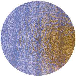 Dichroic Yellow / Violet on Black Herringbone Ripple - Full Sheet, CBS Full Sheet on Herringbone Ripple