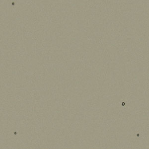 Bullseye Oregon Gray Tint Double Rolled