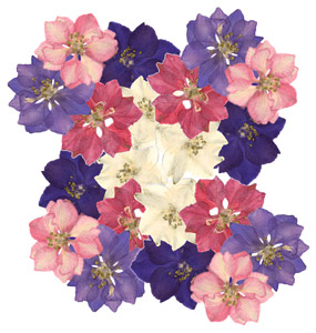 Larkspur Floral Assortment - 20 Pack, Soldered Jewelry