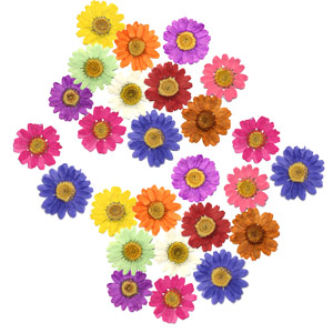 Daisy Floral Assortment - 20 Pack, Soldered Jewelry