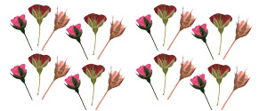 Rose Bud Floral Assortment - 24 Pack, Soldered Jewelry
