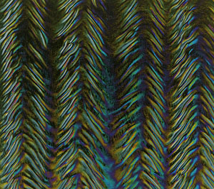Bullseye Black Herringbone Ripple Iridized, Special Order Opalescents