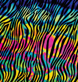 Zebra Cool Lava on Thin Black - 90 COE