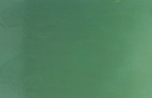 8-1/2 oz Sage Green Opal Frit - Powder, Powder Frit
