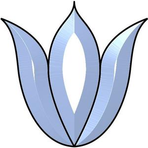 Tulip Bevel Cluster
