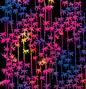 Dichroic Strip - Bamboo On Thin Black - 90 COE