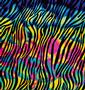 Dichroic Strip - Zebra On Thin Black - 90 COE