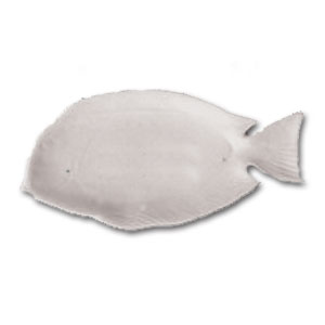 10 x 5 Fish Dish