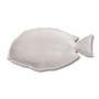 10 x 5 Fish Dish