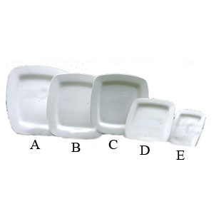 9-4/5 Square Rimmed Plate