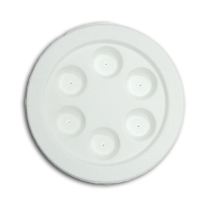 12-1/8 Seder Plate