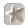 Starfish Casting Mold