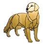 Obsession Pre-Cut Golden Retriever Dog Kit