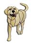 Obsession Pre-Cut Jasper Yellow Labrador Dog Kit