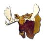 Obsession Pre-Cut Moose Study Kit