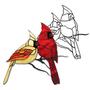 Hoffman Cardinals Obsession Pattern