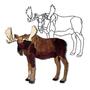 Bull Moose Obsession Pattern