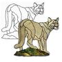 Cougar Obsession Pattern