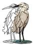 Snowy Egret Obsession Pattern