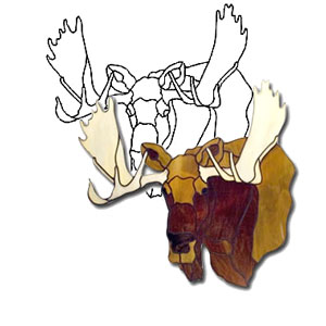 Moose Study Obsession Pattern