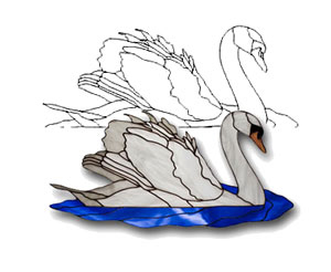 Swan Obsession Pattern