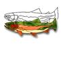 Gunnison Rainbow Trout Obsession Pattern