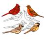 4 Birds Obsession Pattern