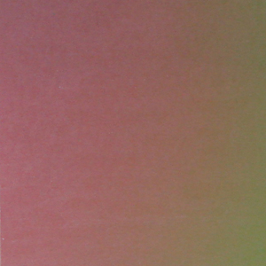 Green/ Pink Dicro Slide - 3-1/5 x 8, Inclusions