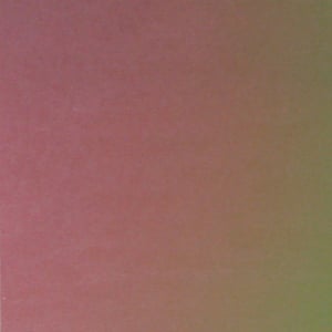 Green/ Pink Dicro Slide - 8 x 8, Inclusions