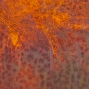 Uroboros Red Amber Opal On Pale Amber Transparent Spot Mottled Glass