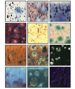 Crystalites Glaze Kit, Ceramic Supplies