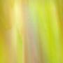 Kokomo Medium Amber And Lime Green Opal