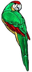 Green Colored Macaw Bevel Cluster