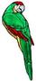 Green Colored Macaw Bevel Cluster