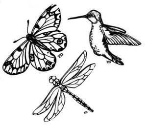 Garden Creatures Fine Art Sepia Decals, Fusing Decals & Stencils
