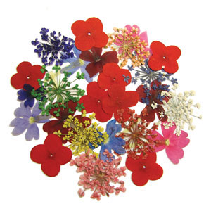 Mini Summer Blossoms - 24 Pack