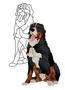 Burmese Dog Obsession Pattern