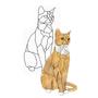 Cat Obsession Pattern