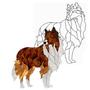 Collie Dog Obsession Pattern