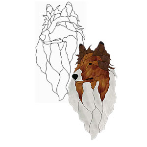Collie Dog Study Obsession Pattern
