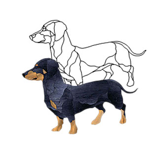 Dachshund Dog Obsession Pattern