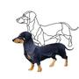 Dachshund Dog Obsession Pattern