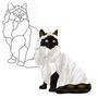 Hamalayan Cat Obsession Pattern
